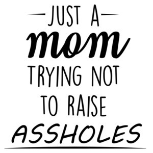Just a mom trying not to raise assholes - funny mom t-shirt