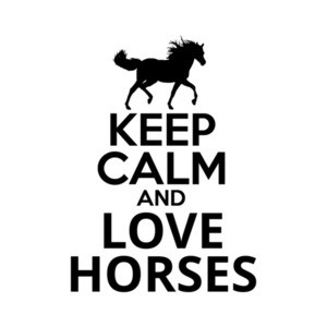 Keep Calm And Love Horses T-Shirt