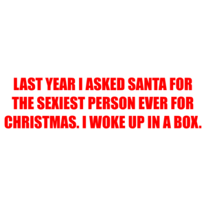 LAST YEAR I ASKED SANTA FOR THE SEXIEST PERSON EVER FOR CHRISTMAS. I WOKE UP IN A BOX. Shirt