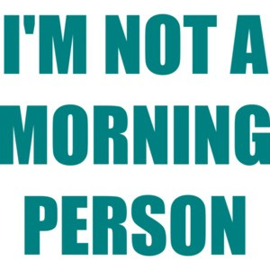 I'M NOT A MORNING PERSON Shirt