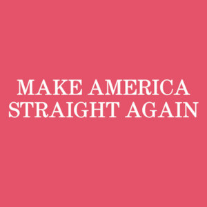 Make America Straight  Again Funny Political Shirt