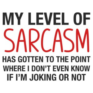 My Level Of Sarcasm Has Gotten To The Point... Shirt