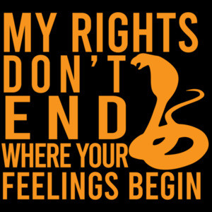 My rights don't end where your feelings begin 2nd Amendment - Pro Guns T-Shirt