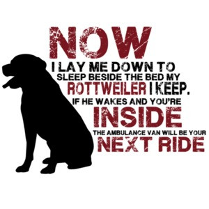 Now I lay me down to sleep beside my bed my rottweiler I keep. Rottweiler t-shirt