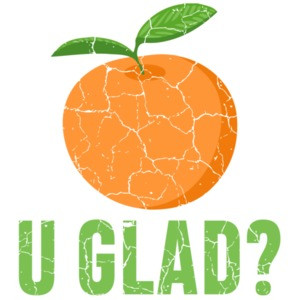 Orange U Glad - pun t-shirt
