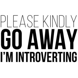 Please kindly go away - I'm introverting - Nerd T-Shirt