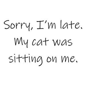 Sorry I'm late. My cat was sitting on me. Funny cat t-shirt