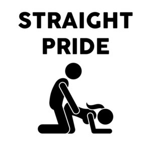 Straight Pride - Funny Shirt