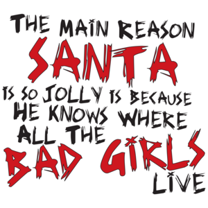 The Main Reason Santa Is So Jolly Is Because He Knows Where All The Bad Girls Live T-shirt 