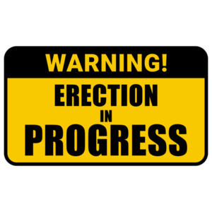 Warning: Erection in Progress. Funny sexual offensive t-shirt