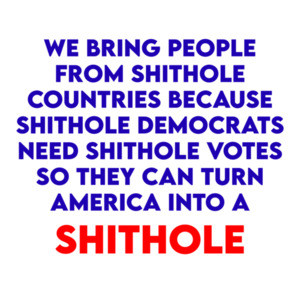 We bring people from shithole countries... Funny Republican shirt