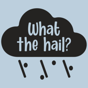 What The Hail? Funny Pun T-Shirt