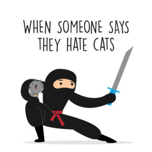 When someone says they hate cats. Funny Cat T-Shirt