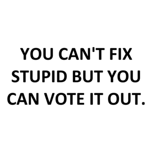 YOU CAN'T FIX STUPID BUT YOU CAN VOTE IT OUT. Shirt