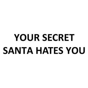 YOUR SECRET SANTA HATES YOU Shirt