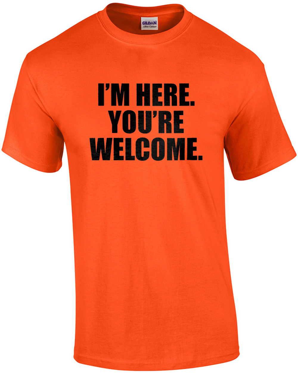 I'm here. You're Welcome. Funny sarcastic t-shirt | eBay