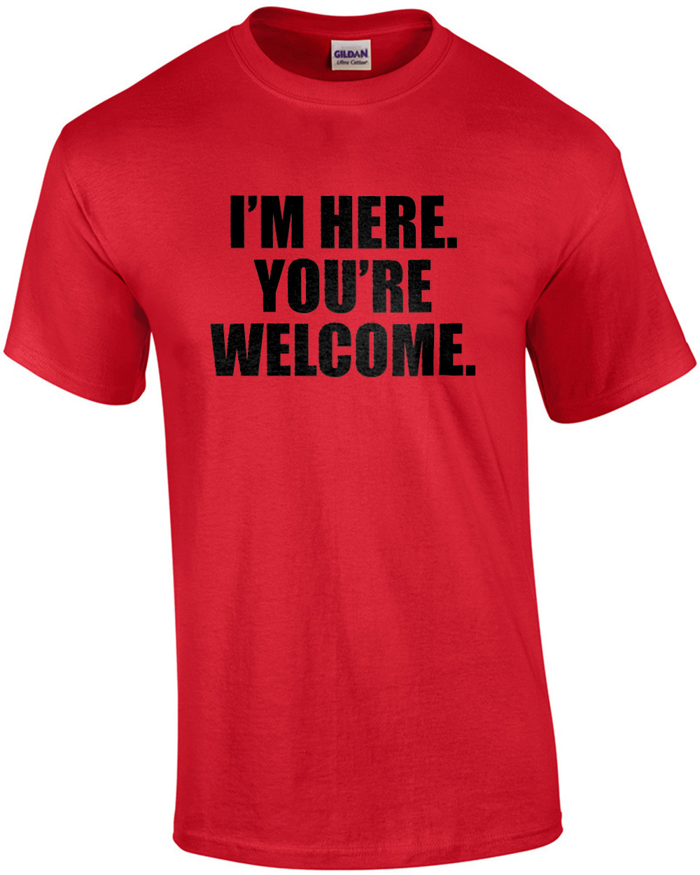I'm here. You're Welcome. Funny sarcastic t-shirt | eBay
