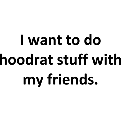 I Want To Do Hoodrat Stuff With My Friends Funny Internet Shirt