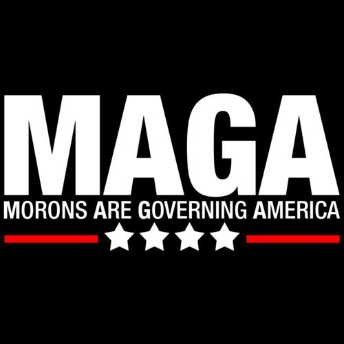 morons-are-governing-america-anti-trump-maga-tshirt-large.png