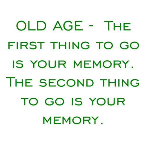 Old Age The First Thing To Go Is Your Memory The Second Thing To Go Is Your Memory  T Shirt By CharGrilled